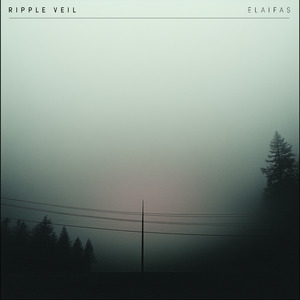 韩国美女一级毛片视频
