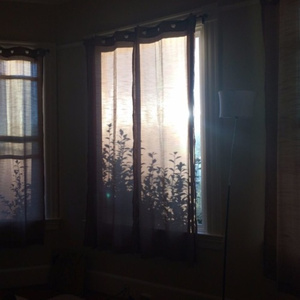 韩国美女一级毛片视频
