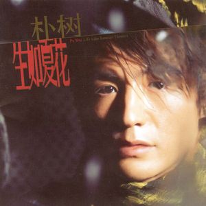 韩国美女一级毛片视频
